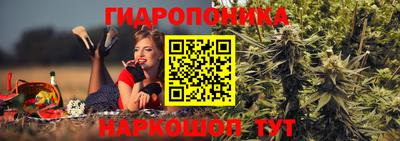 эйфоретик Свободный