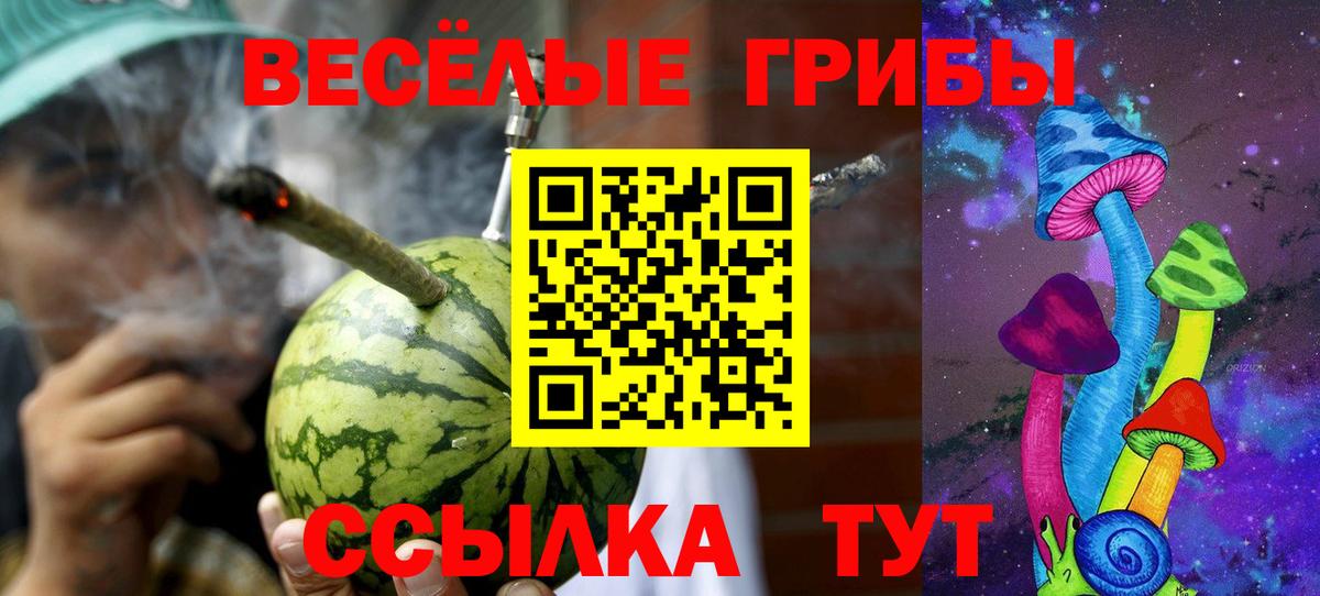 Псилоцибиновые грибы Psilocybine cubensis Партизанск